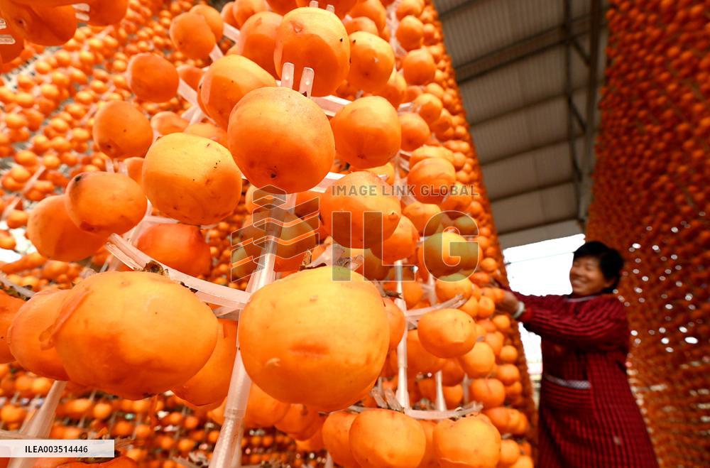Persimmons Processed in Handan