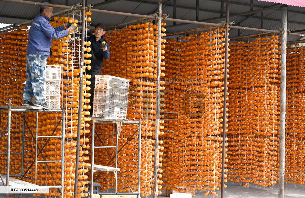 Persimmons Processed in Handan