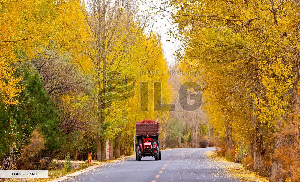 Rural Road in Zhangye