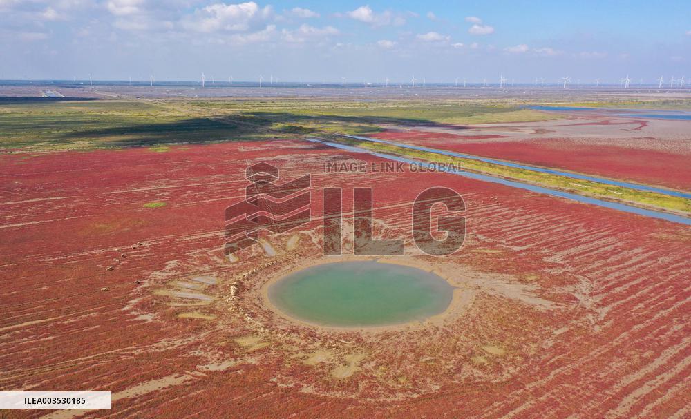 Tiaozini Wetland Autumn Scenery - China