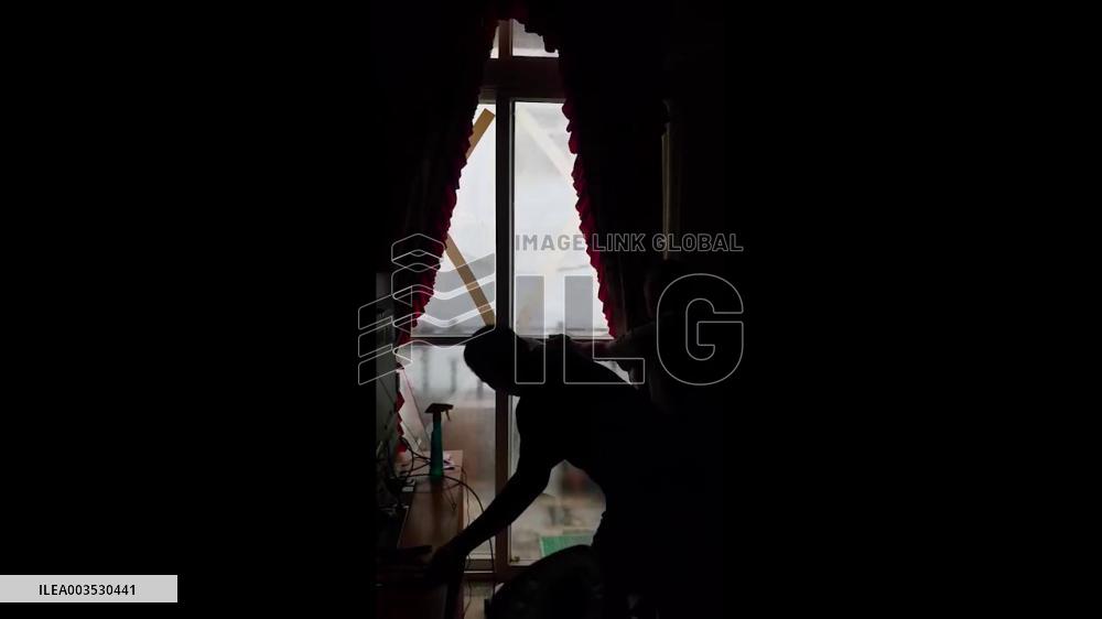 Taiwan: Typhoon Kong-Rey Makes Landfall, Bringing Strong Winds, Heavy Rain 4