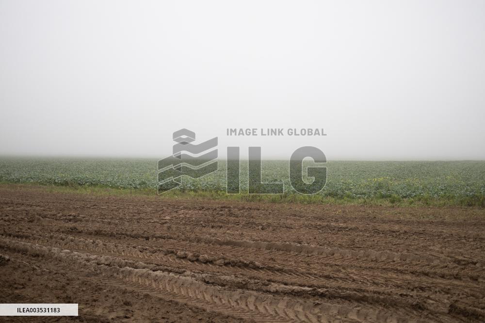 Annie Genevard visits a farm - Morigny-Champigny