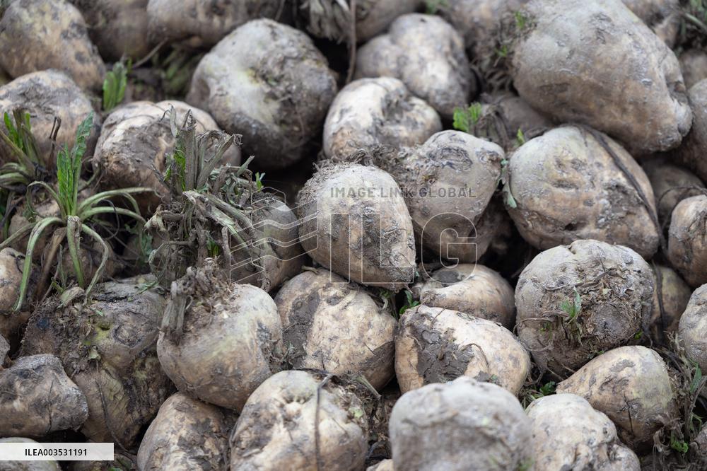 Annie Genevard visits a farm - Morigny-Champigny