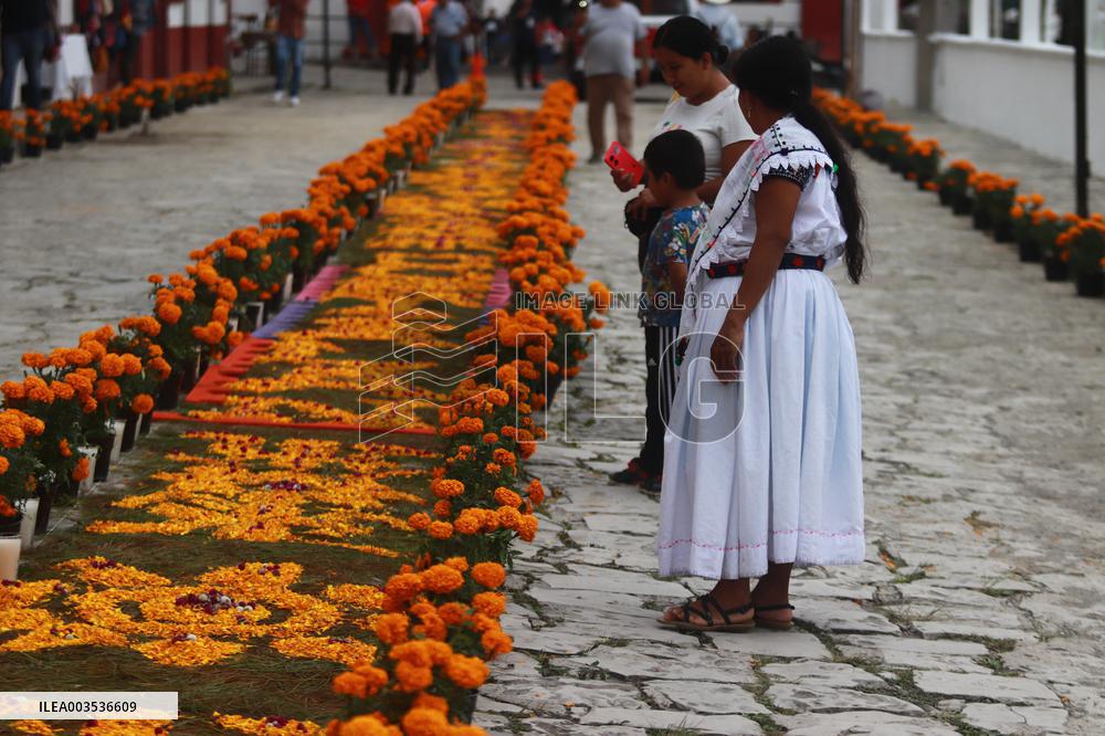 Dia de Muertos Celebrations - Mexico