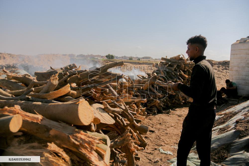 Workers Labor In A Coal-Making Pit - Gaza