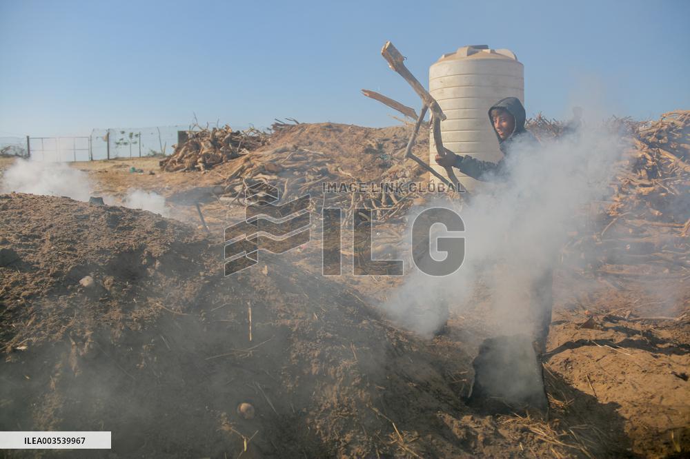 Workers Labor In A Coal-Making Pit - Gaza
