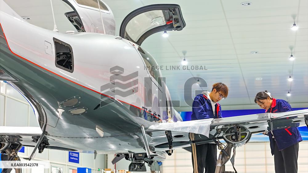 Low-altitude Economy Export