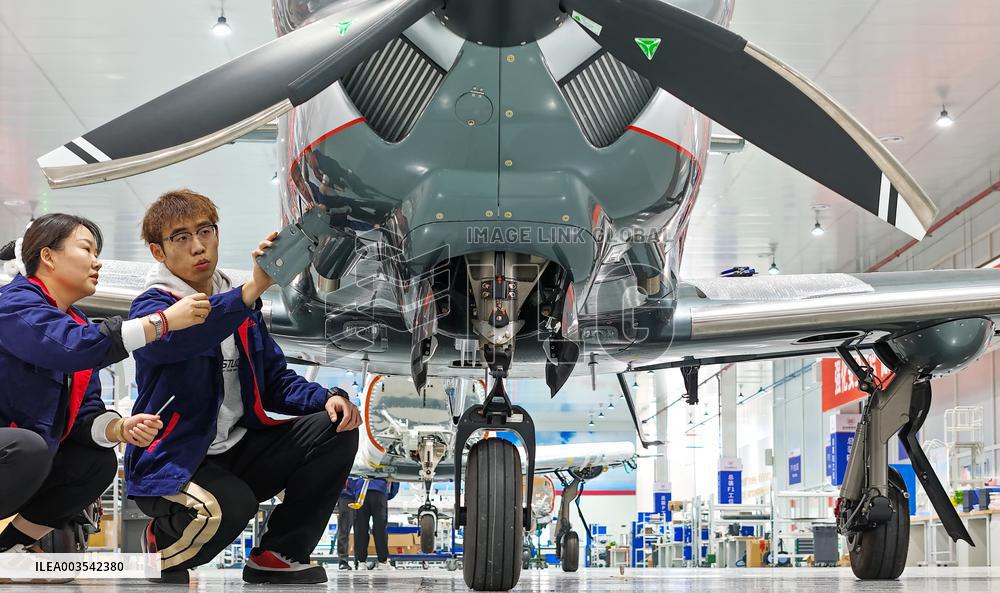 Low-altitude Economy Export