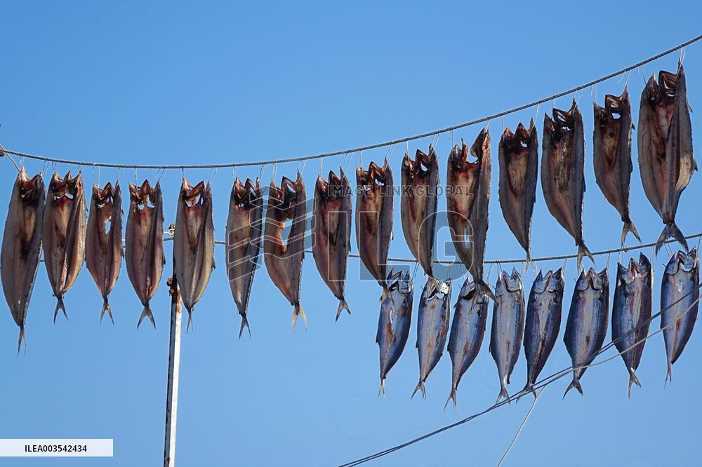 Dried Seafood Products