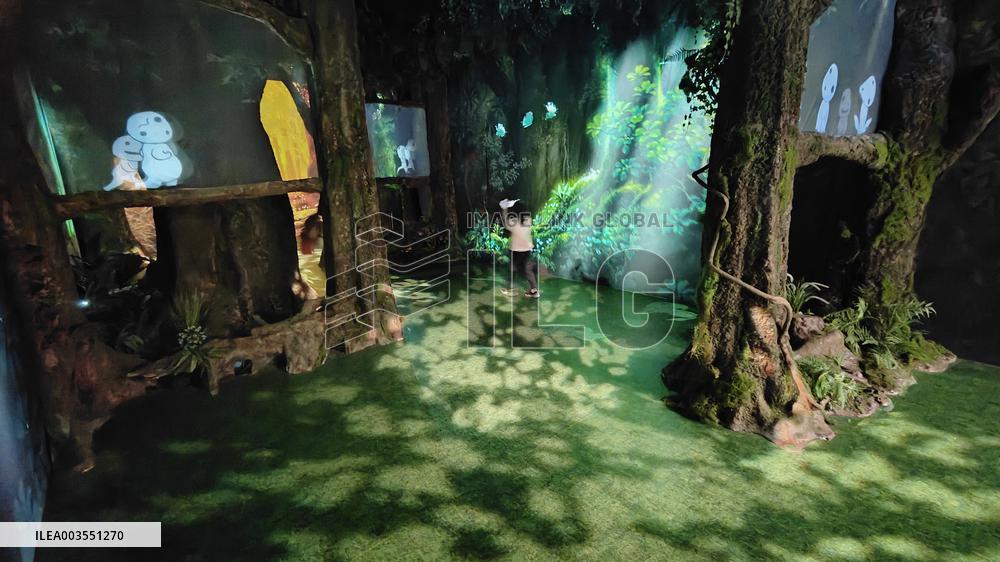 Studio Ghibli Show in Shanghai