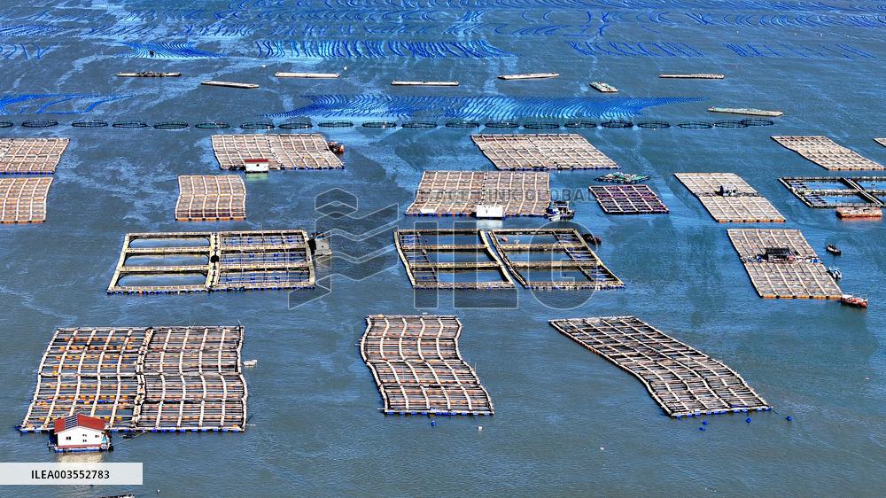 Deep Sea Aquaculture