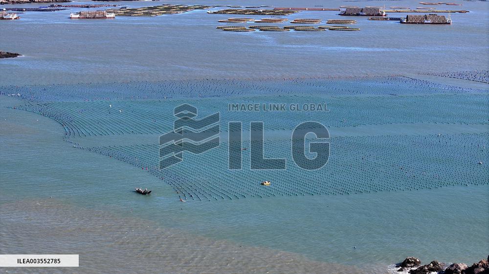 Deep Sea Aquaculture