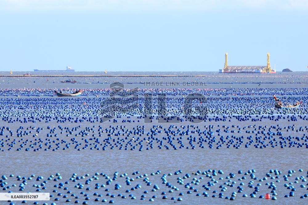 Deep Sea Aquaculture