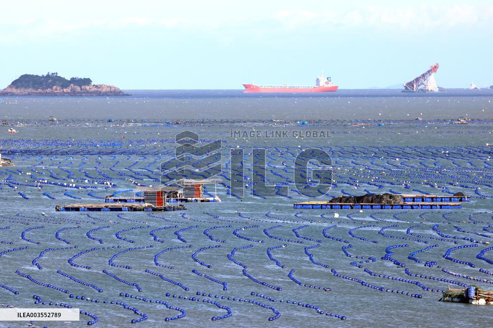 Deep Sea Aquaculture