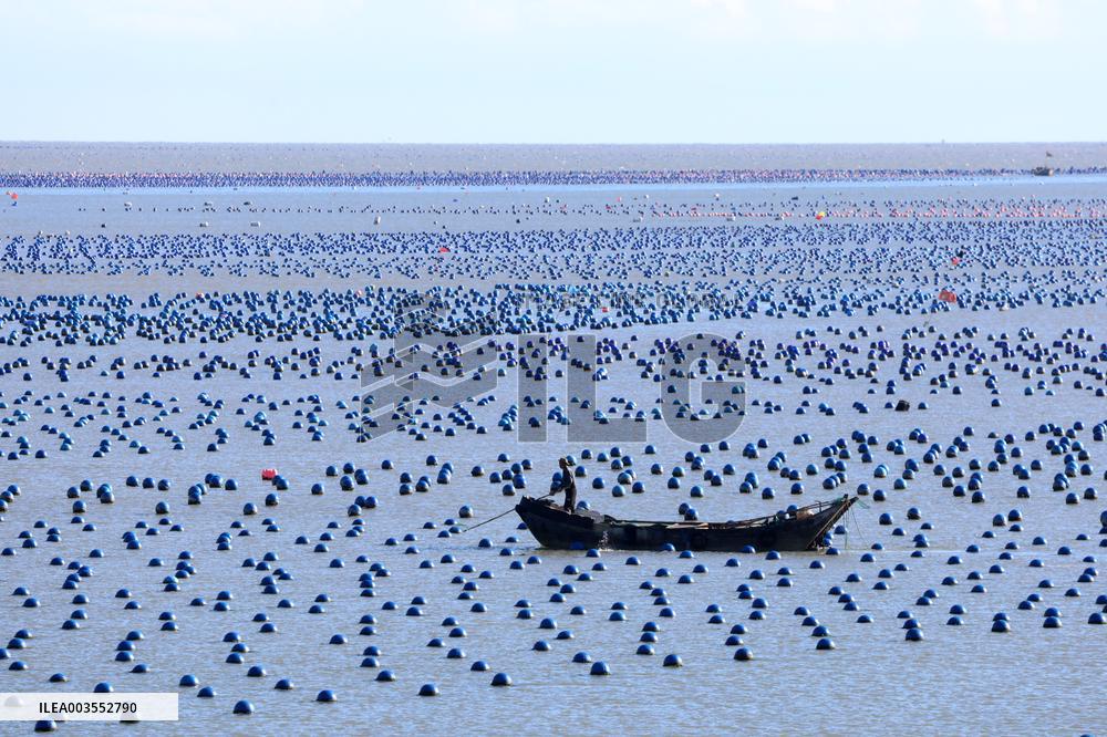 Deep Sea Aquaculture