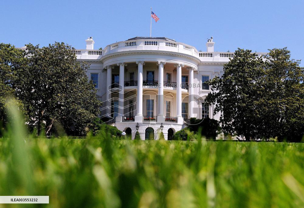 Illustration For US Election Day