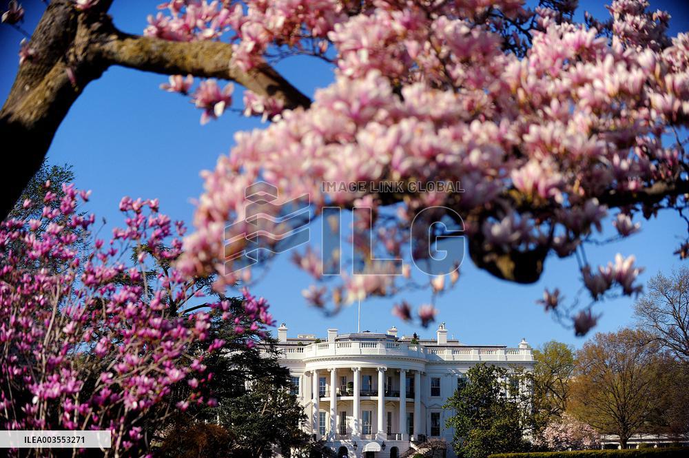 Illustration For US Election Day