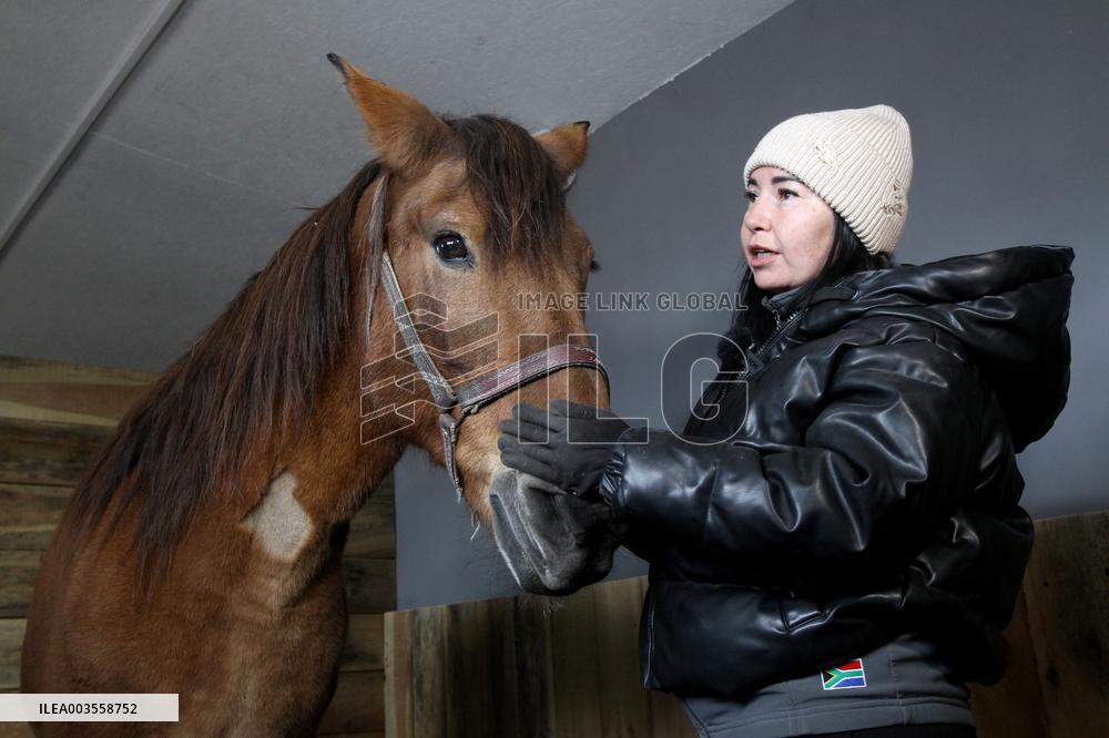 Hospital for sick horses opens at Dnipro animal shelter