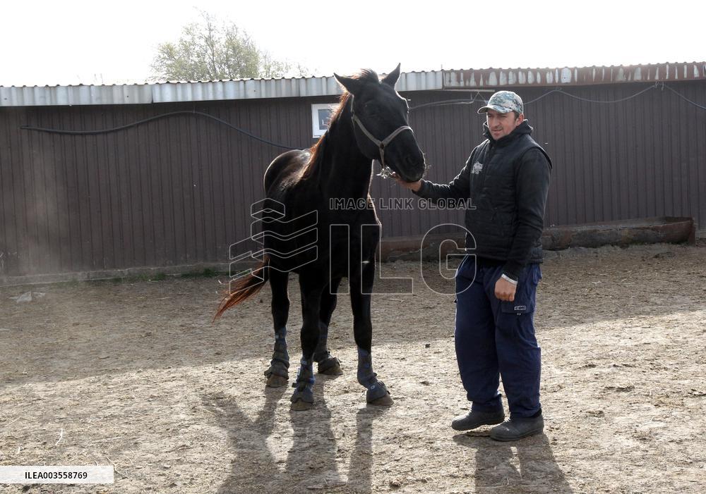Hospital for sick horses opens at Dnipro animal shelter