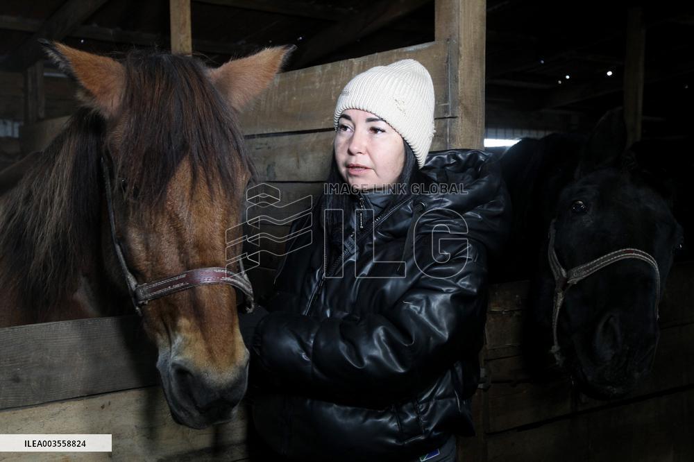 Hospital for sick horses opens at Dnipro animal shelter