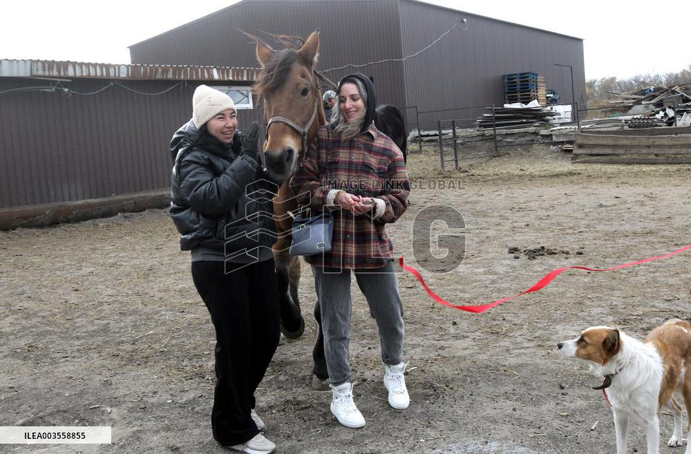 Hospital for sick horses opens at Dnipro animal shelter