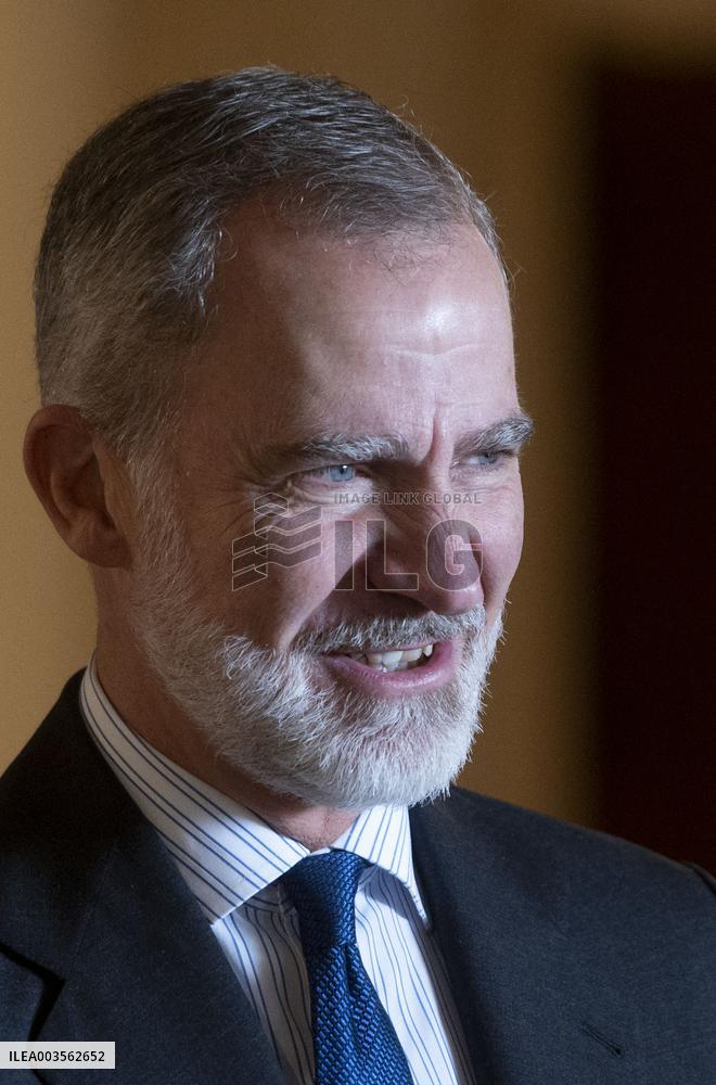King Felipe Audiences - Madrid
