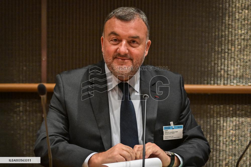 Hearing before the Commission of inquiry into violence in the film at the National Assembly in Paris FA