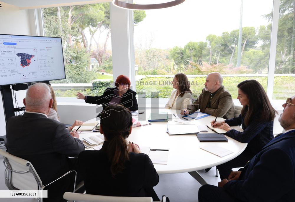 Queen Letizia At Spanish Red Cross Meeting - Madrid