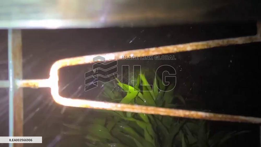 Philippines: Typhoon Yinxing Makes Landfall In Cagayan, Damaging Infrastructure