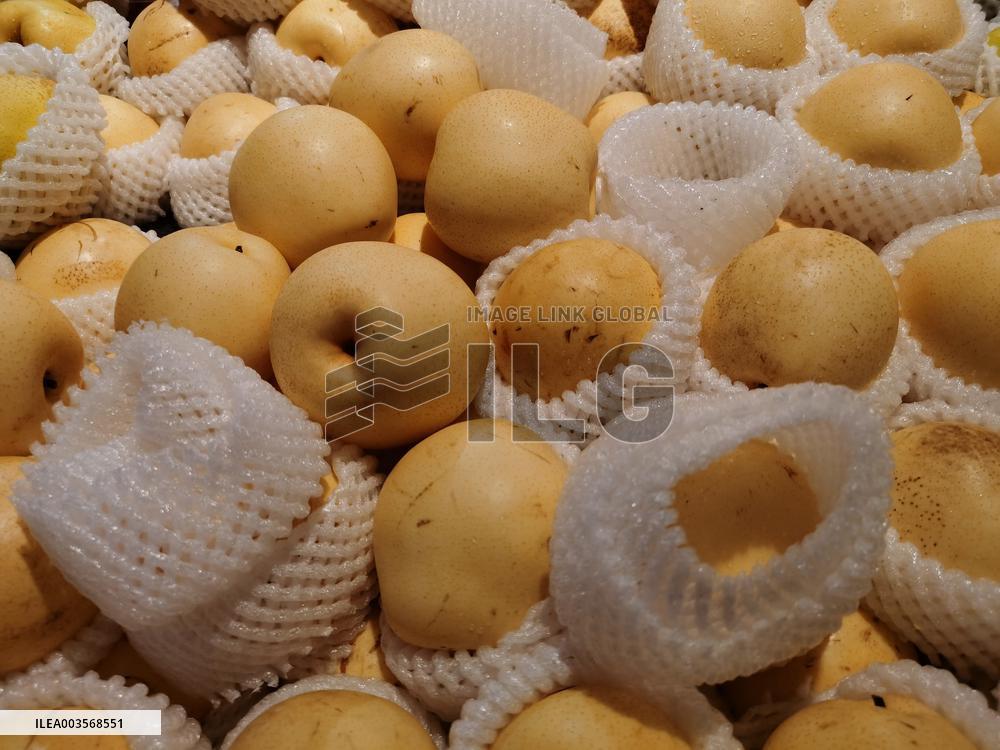 Food Safety Sampling Inspection