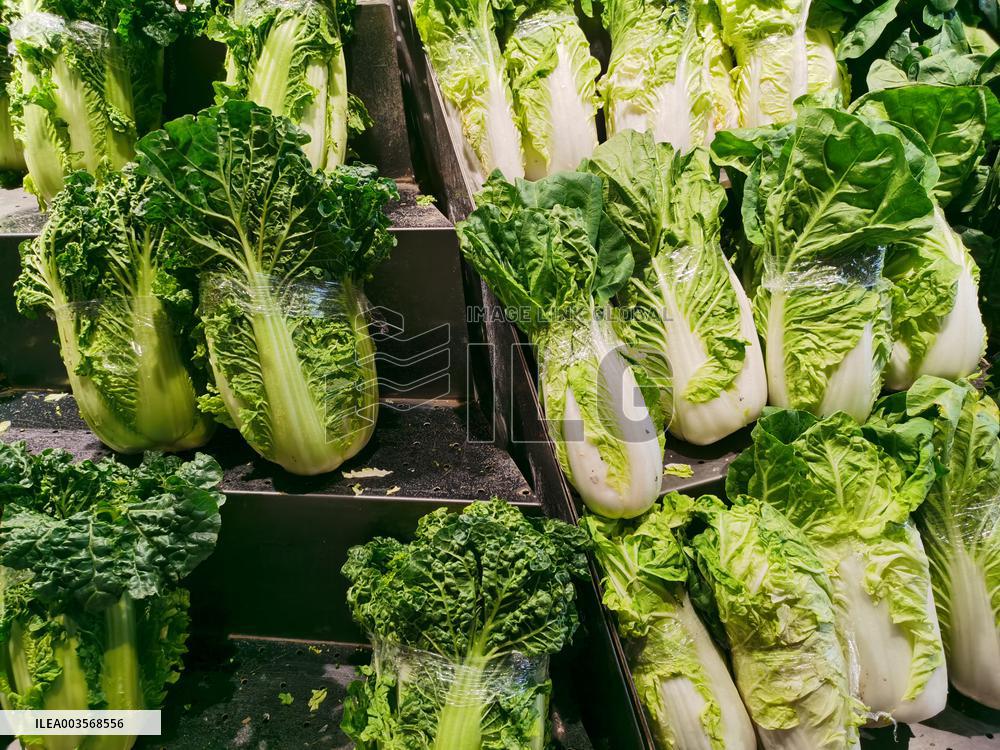 Food Safety Sampling Inspection