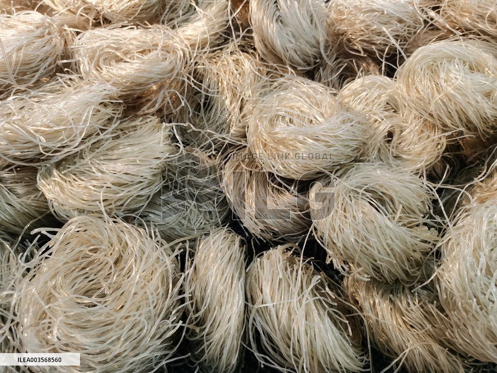 Food Safety Sampling Inspection