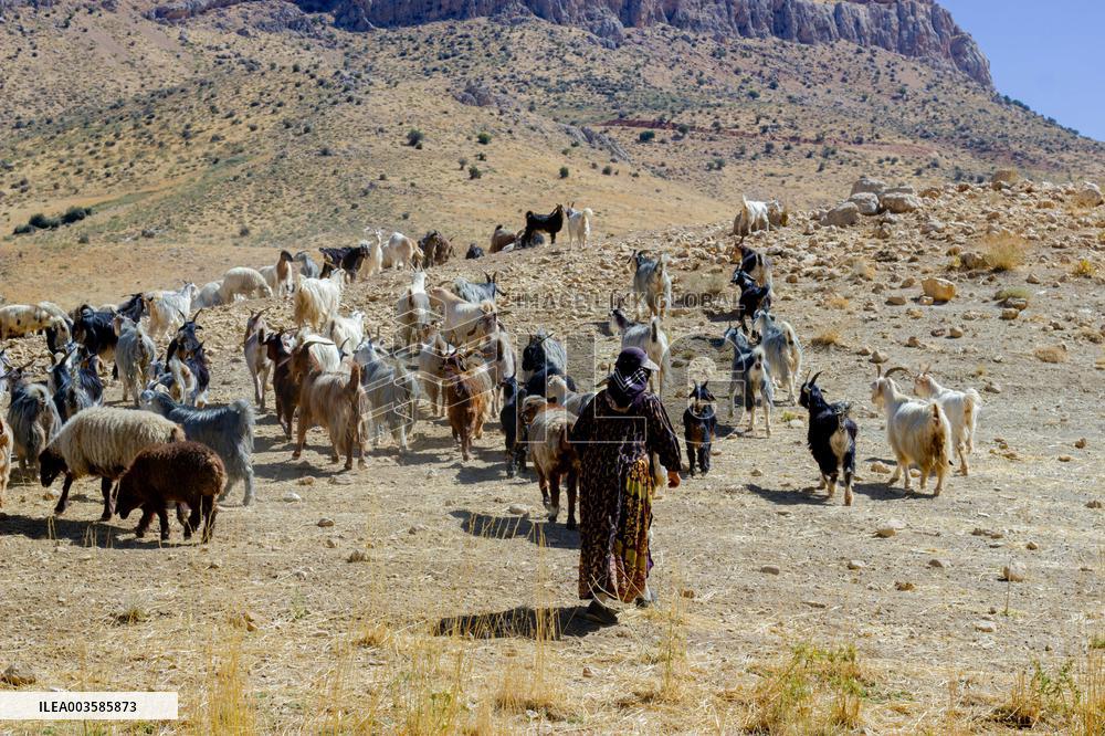 Nomadic People - Iran