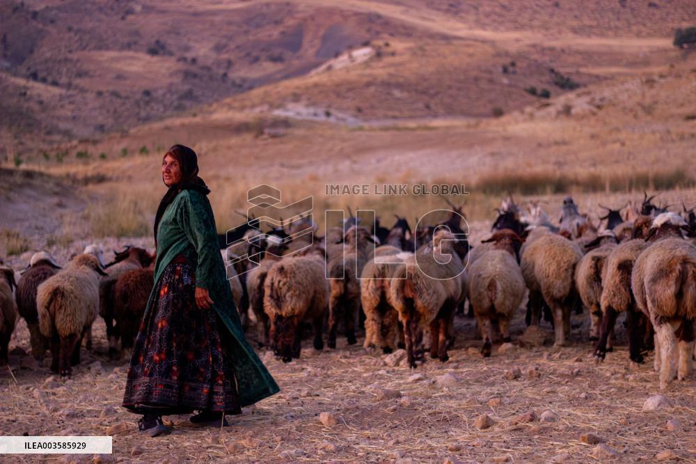Nomadic People - Iran