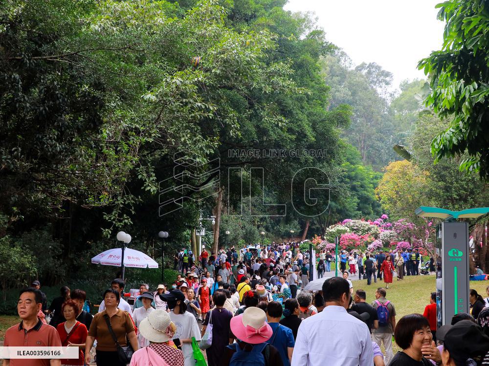 Rhododendron Exhibition in Shenzhen