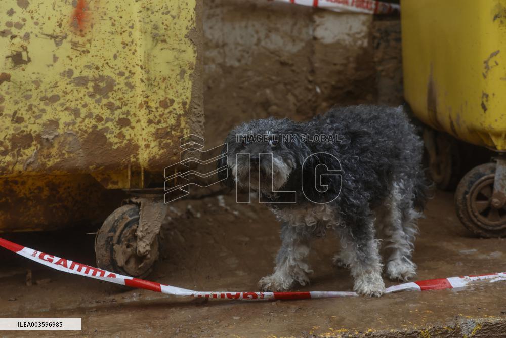 15 Days After The Passage Of The DANA Over Valencia