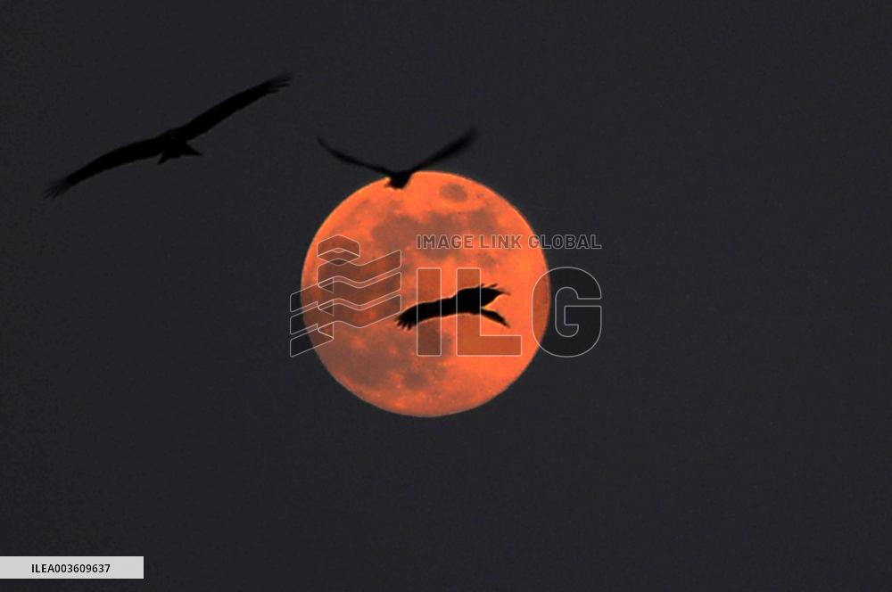 Super Moon - Karachi