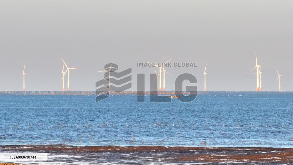 Yellow Sea Wind Power Generation