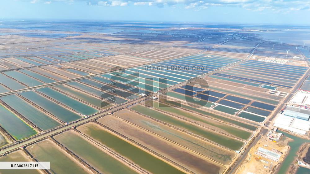 Salt Field in Cangzhou