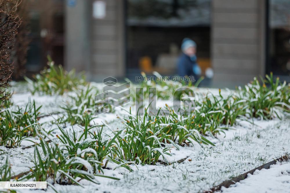 First snow in Tallinn