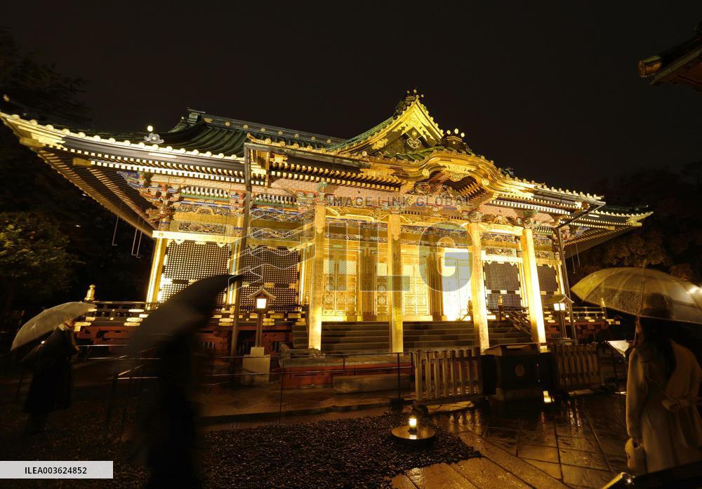 Shrine illumination in Tokyo