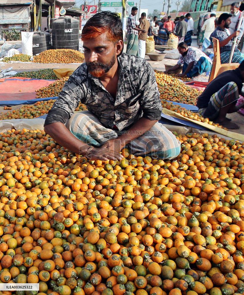 Betel Nuts - Bangladesh