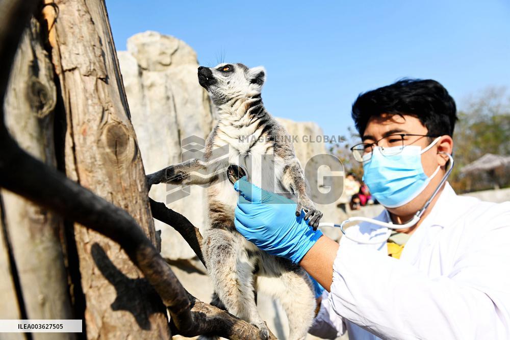 Wildlife Physical Examination