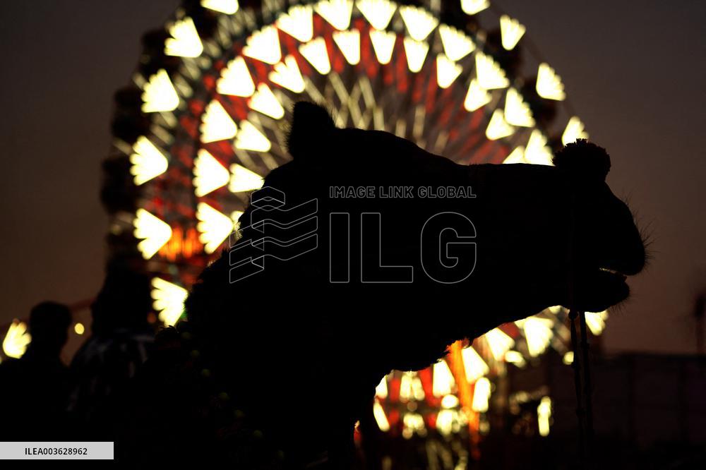 Camel Fair in Pushkar - India