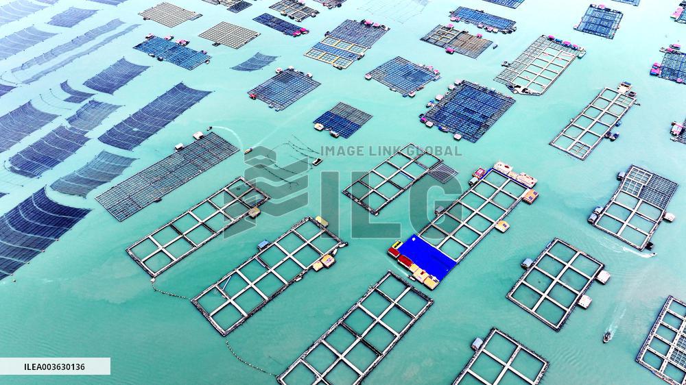 Marine Breeding Base in Ningde