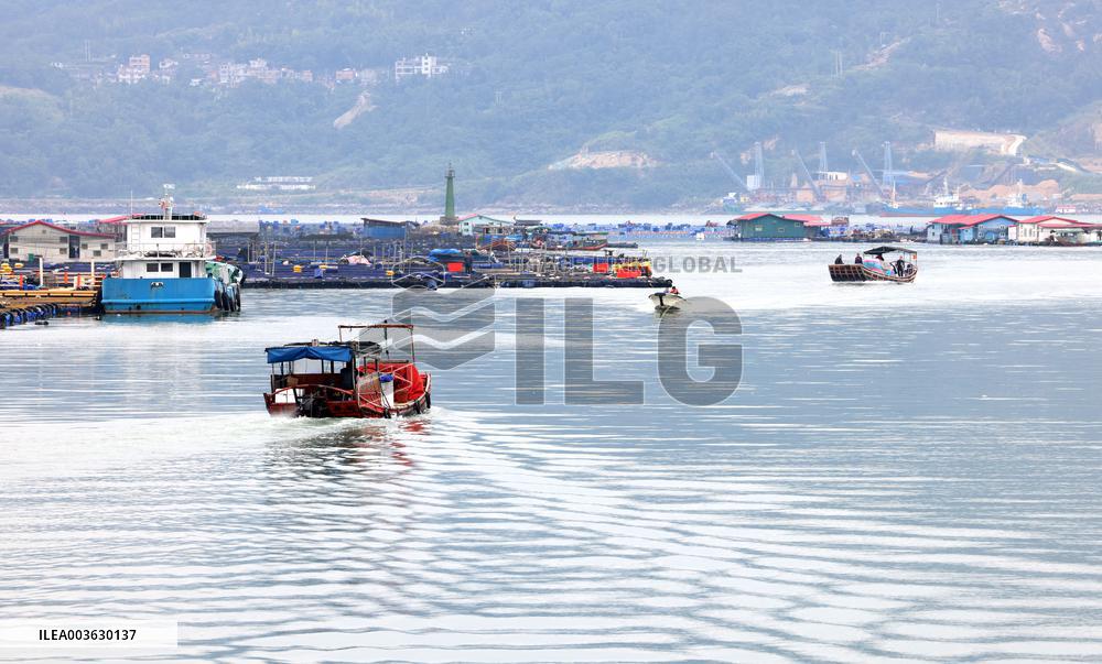 Marine Breeding Base in Ningde