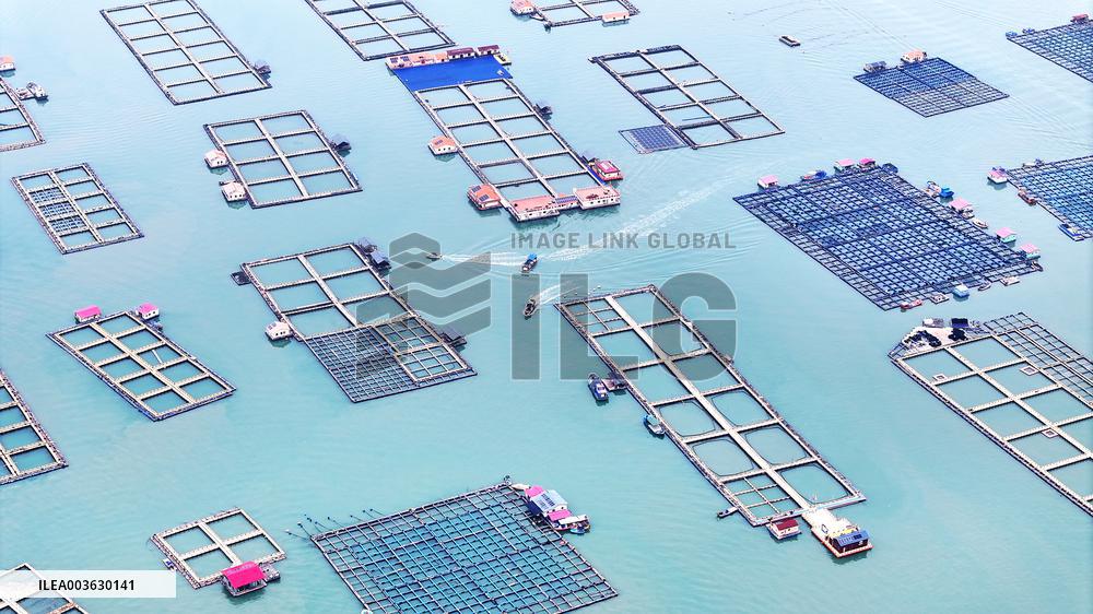 Marine Breeding Base in Ningde