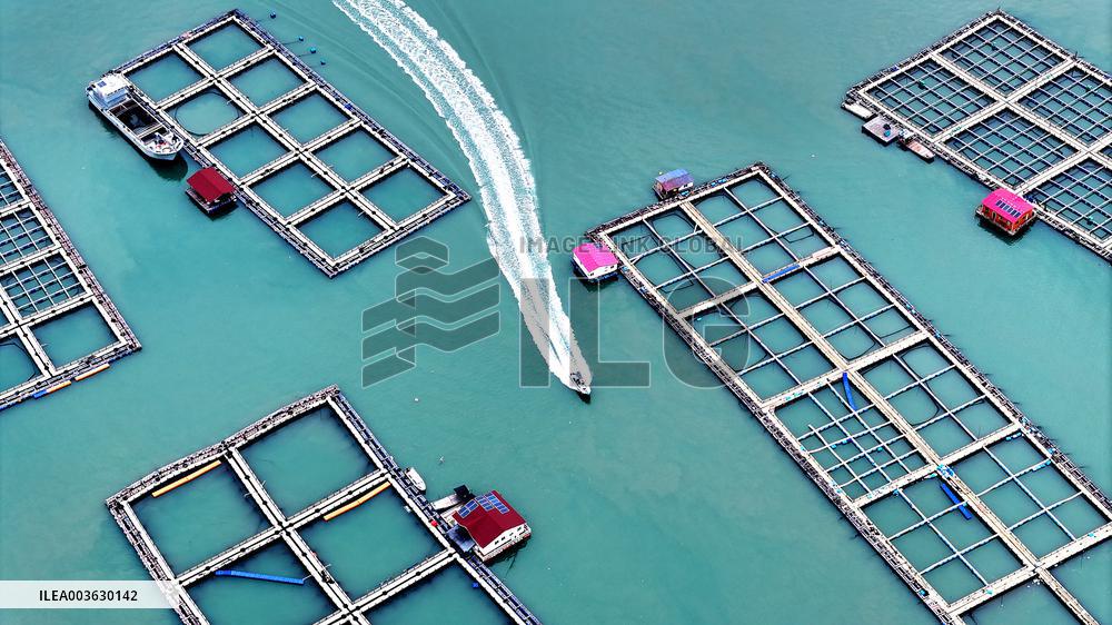 Marine Breeding Base in Ningde