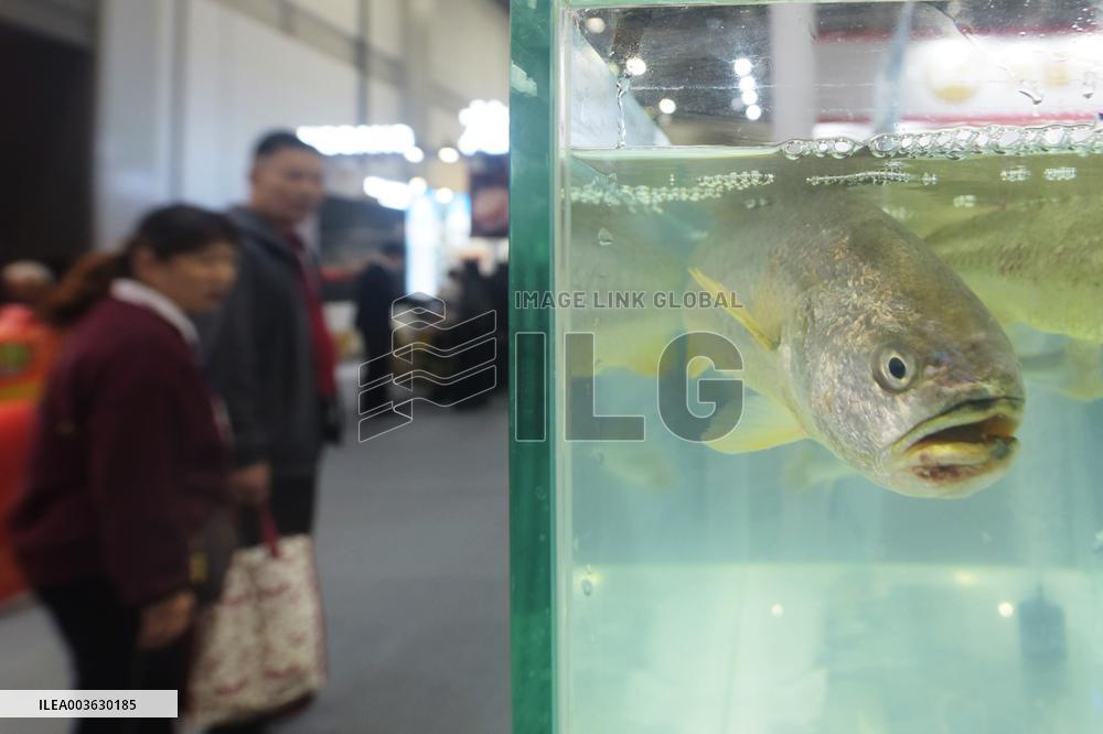 2024 Zhejiang Agricultural Fair in Hangzhou