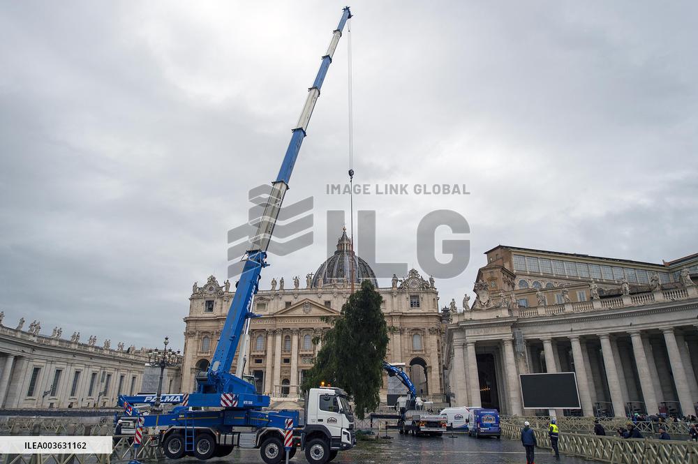 Christmas Tree Installation in Place Saint-Pierre - Vatican